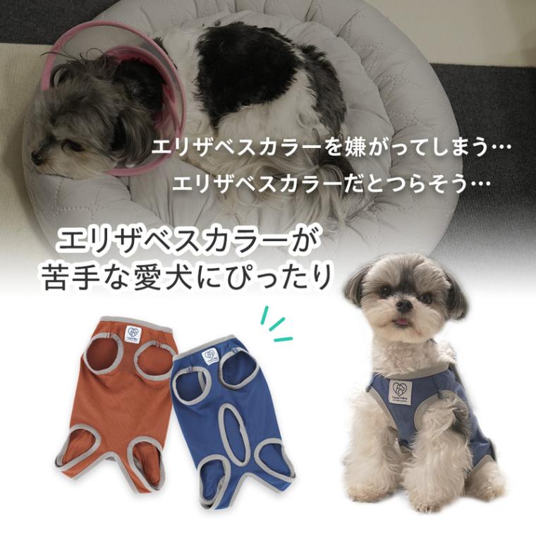 ペット用 術後服 犬 女の子用 4号 ブラウン 手術後 ウェア いぬ わん