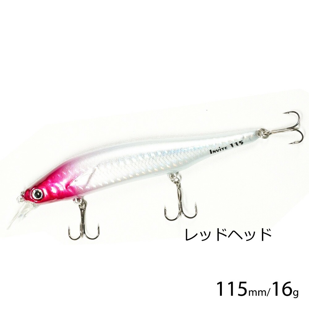 10_000000005548.jpg?1678209907