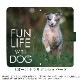 ���ޥۥ����� iPhone16 SE ��3���� ¾350����ʾ� �������б� ��Ģ�� ������ �ǥ����� FUN LIFE WITH DOG �� ���� ��֥�ɡ����ȥ�С� ���饹����ޥ�ߥ塼�� �����ѡ��� �ϥ����� �磻�ޥ�ʡ� �֥�ɥå� �ɡ��٥�ޥ� �������� �Ƹ�