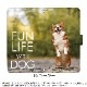 ���ޥۥ����� iPhone16 SE ��3���� ¾350����ʾ� �������б� ��Ģ�� ������ �ǥ����� FUN LIFE WITH DOG �� ���� ��֥�ɡ����ȥ�С� ���饹����ޥ�ߥ塼�� �����ѡ��� �ϥ����� �磻�ޥ�ʡ� �֥�ɥå� �ɡ��٥�ޥ� �������� �Ƹ�