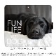 ���ޥۥ����� iPhone16 SE ��3���� ¾350����ʾ� �������б� ��Ģ�� ������ �ǥ����� FUN LIFE WITH DOG �� ���� ��֥�ɡ����ȥ�С� ���饹����ޥ�ߥ塼�� �����ѡ��� �ϥ����� �磻�ޥ�ʡ� �֥�ɥå� �ɡ��٥�ޥ� �������� �Ƹ�