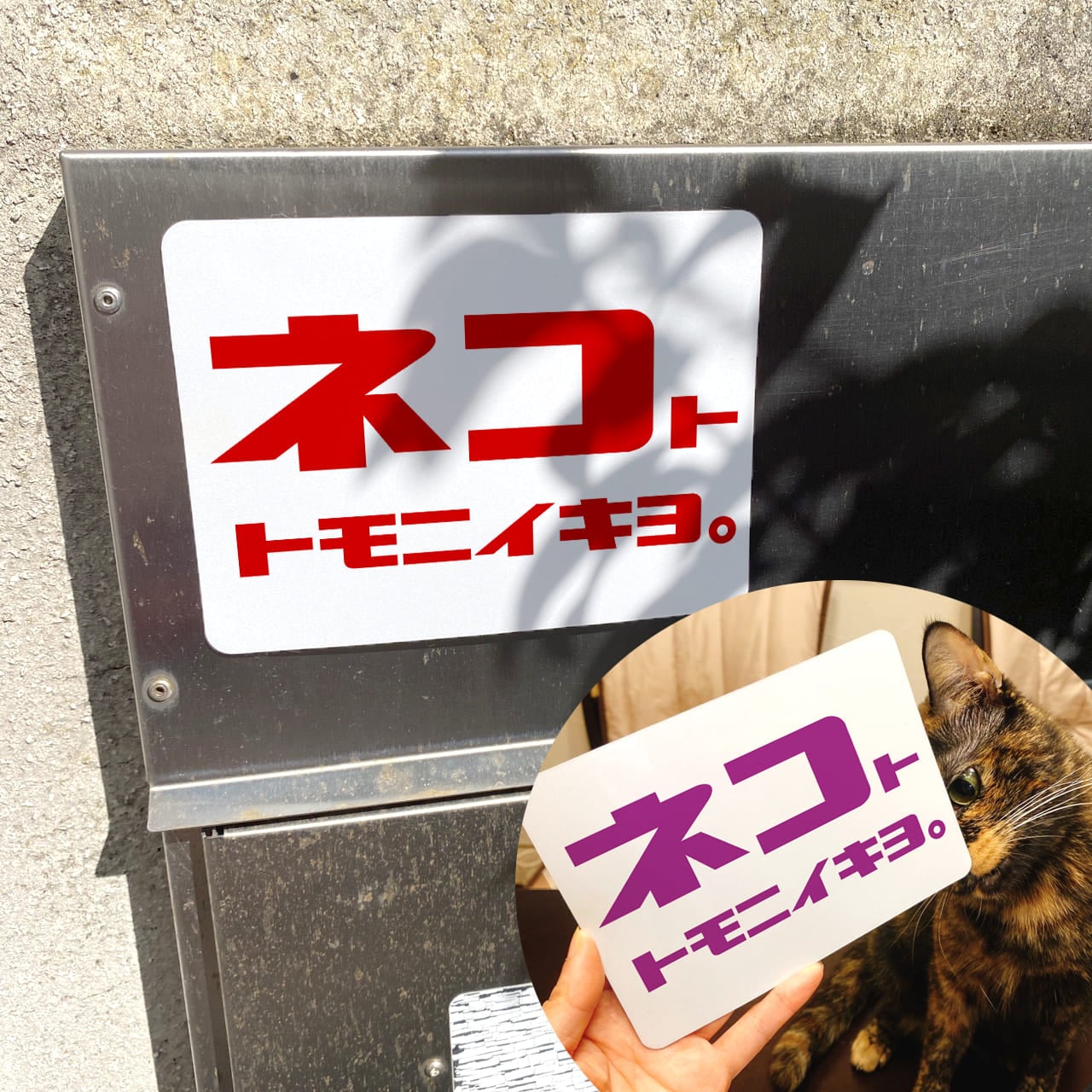 ǭ ƥå ͥȥȥ˥ ޥͥå 147108ߥ 礭 ޥͥåȥƥå  ǥ ץ ͤ ͥ ǭ 