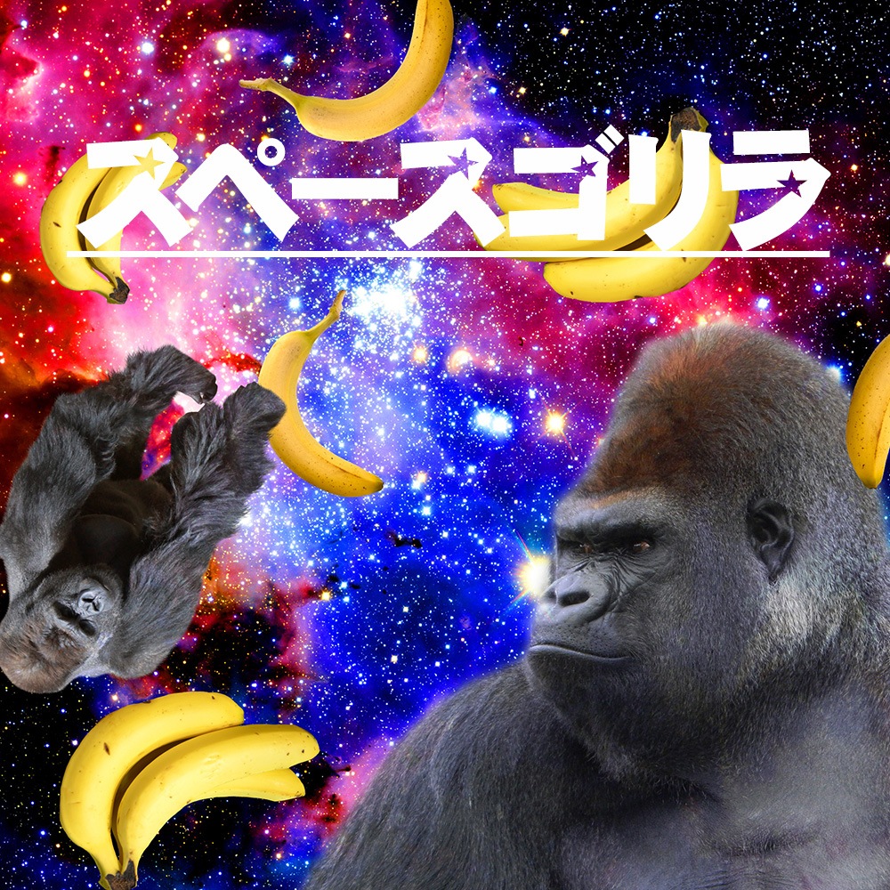 ���ޥۥ����� iPhone16 SE ��3���� ¾350����ʾ� �������б� ��Ģ�� ������ �ǥ����� ���ڡ�������� ����� ����� ���� ���⤷�� ��ˡ��� �Хʥ� �ޥ�ȥҥ�