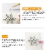 �ǥ��ѡ��� ���å� �饤�󥹥ȡ��� �ӥ��塼 ���餭�� �İ��� ���襤�� ������� �ǥ� ���������꡼ ���ޥۥ����� �ǥ��졼����� ���� ����ե� �� ���ꥢ �ԥ� �֥롼