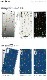 iPhone SE 2020 ������ iphone SE2 ��2���� iPhone14 iPhone8 Xperia8 Xperia5 Xperia1 �������ڥꥢ AQUOS zero2 ����饯���� Galaxy S10 A7 A7 P30 lite Pixel 4 rakuten mini �ϡ��� ���� ���С� ���ޥۥ����� �������б� �ǥ����� �ڤ��������ʤ��֡� ����