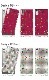 iPhone SE 2020 ������ iphone SE2 ��2���� iPhone14 iPhone8 Xperia8 Xperia5 Xperia1 �������ڥꥢ AQUOS zero2 ����饯���� Galaxy S10 A7 A7 P30 lite Pixel 4 rakuten mini �ϡ��� ���� ���С� ���ޥۥ����� �������б� �ǥ����� �ڤ��������ʤ��֡� ����
