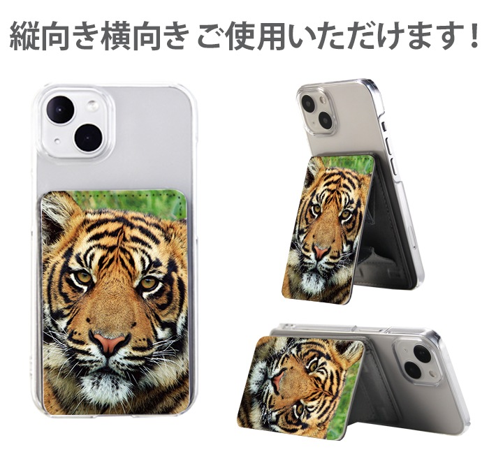 PATAKO ���ޥ� ������� �ۥ���� �����ɥݥ��å� Ž���դ� �����ɼ�Ǽ ���̥ݥ��å� �ѥ������� ���������� ��� ��ɻ� ���ޡ��ȥե��� iPhone Android �ǥ����� ���˥ޥ� ưʪ �ɤ��֤�