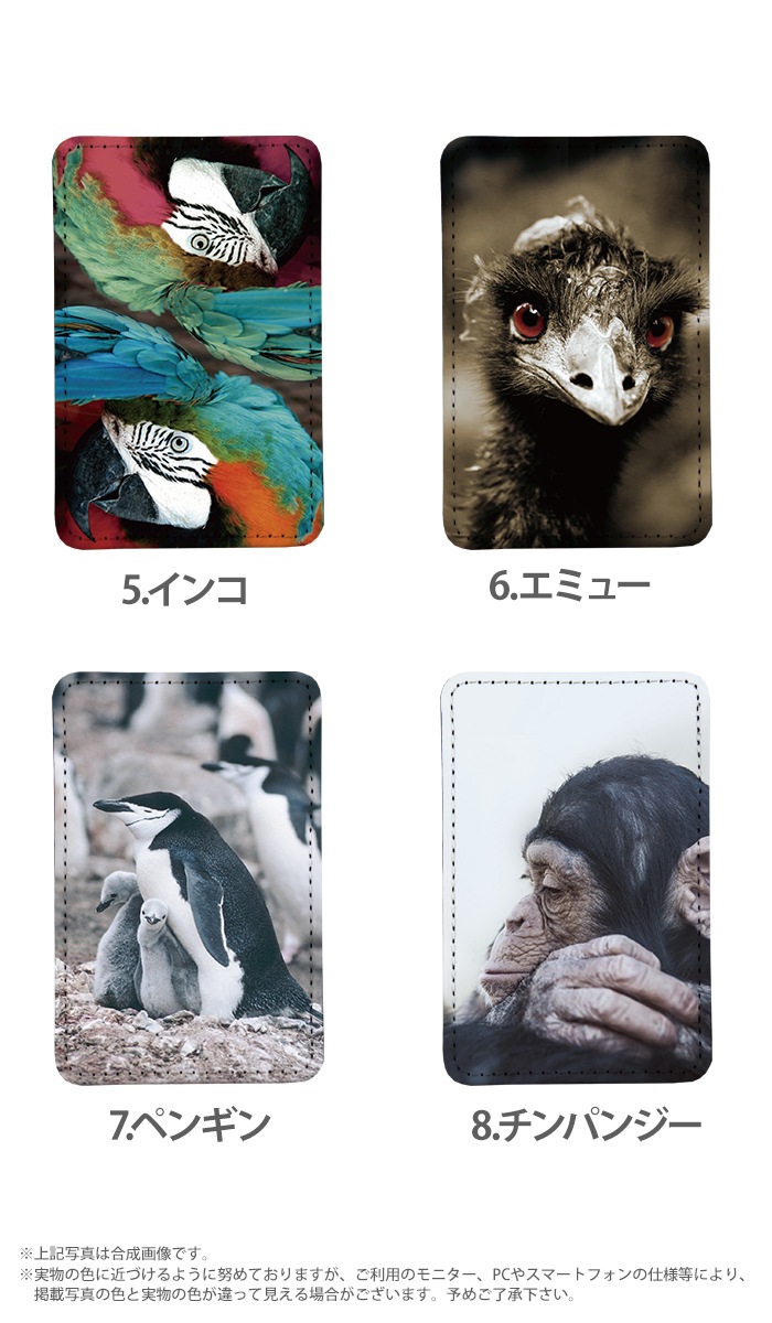 PATAKO ���ޥ� ������� �ۥ���� �����ɥݥ��å� Ž���դ� �����ɼ�Ǽ ���̥ݥ��å� �ѥ������� ���������� ��� ��ɻ� ���ޡ��ȥե��� iPhone Android �ǥ����� ���˥ޥ� ưʪ �ɤ��֤�