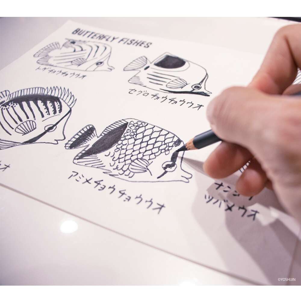 iPhone������ �ߥ顼 �� iPhone15 Pro iPhonexr iphone13 iphone12 �����ե���14 �ߥ顼������ ���С� �ǥ����� ������޴� �ϥ� ��������� ���祦���祦���� �˥����� ������ �٥� �֥��� �ե� ��󥬥� �� ���襤�� ���饹��