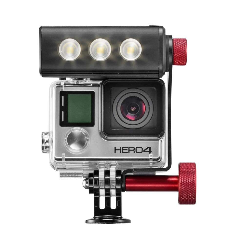GoPro - まんまるる 51wQ8JC0+FL._UF350,350_QL80_.jpg