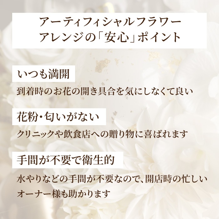 胡蝶蘭 開店祝い バルーンギフト