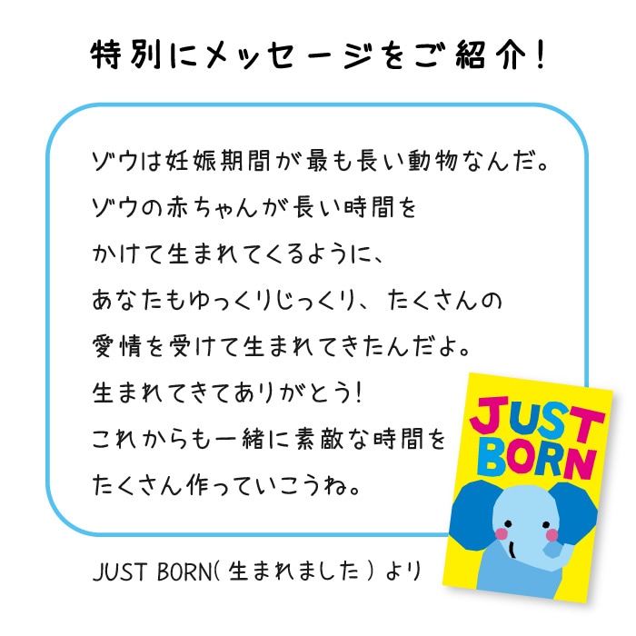 どうぶつ マンスリーカード