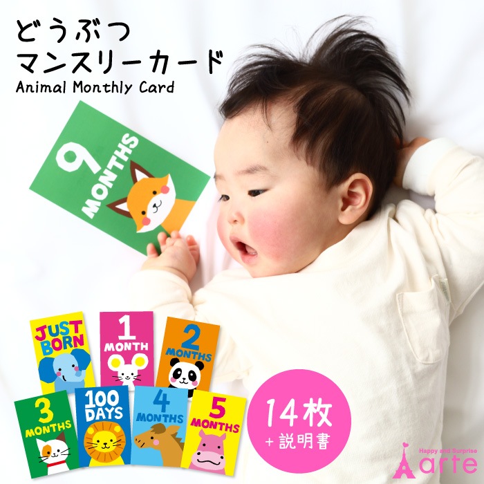 動物マンスリーカード