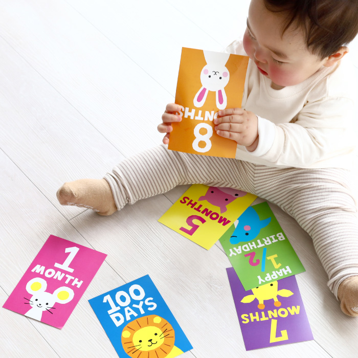 どうぶつ マンスリーカード