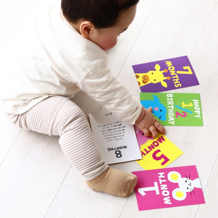 どうぶつ マンスリーカード