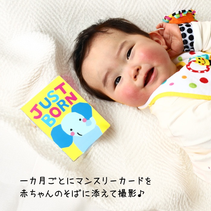 どうぶつ マンスリーカード