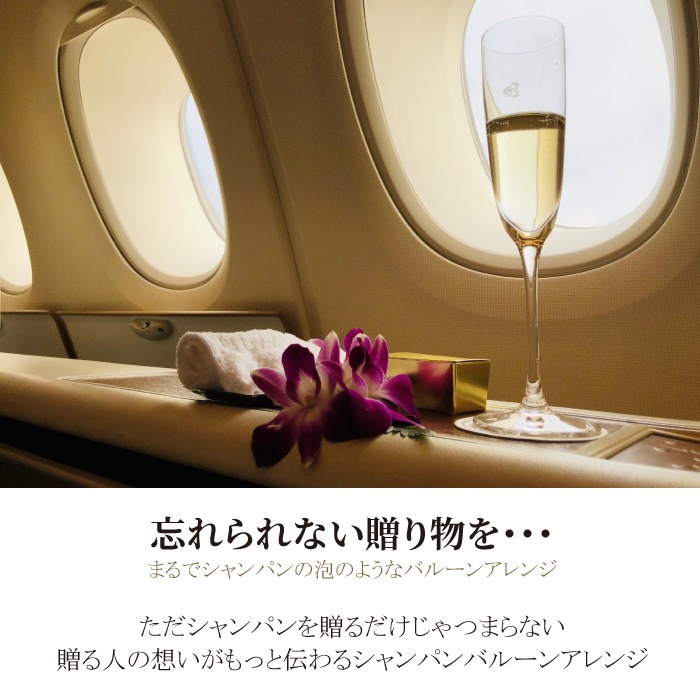 バルーン シャンパン付 【750ml】  モエ エ シャンドン アイス アンペリアル ロゼ