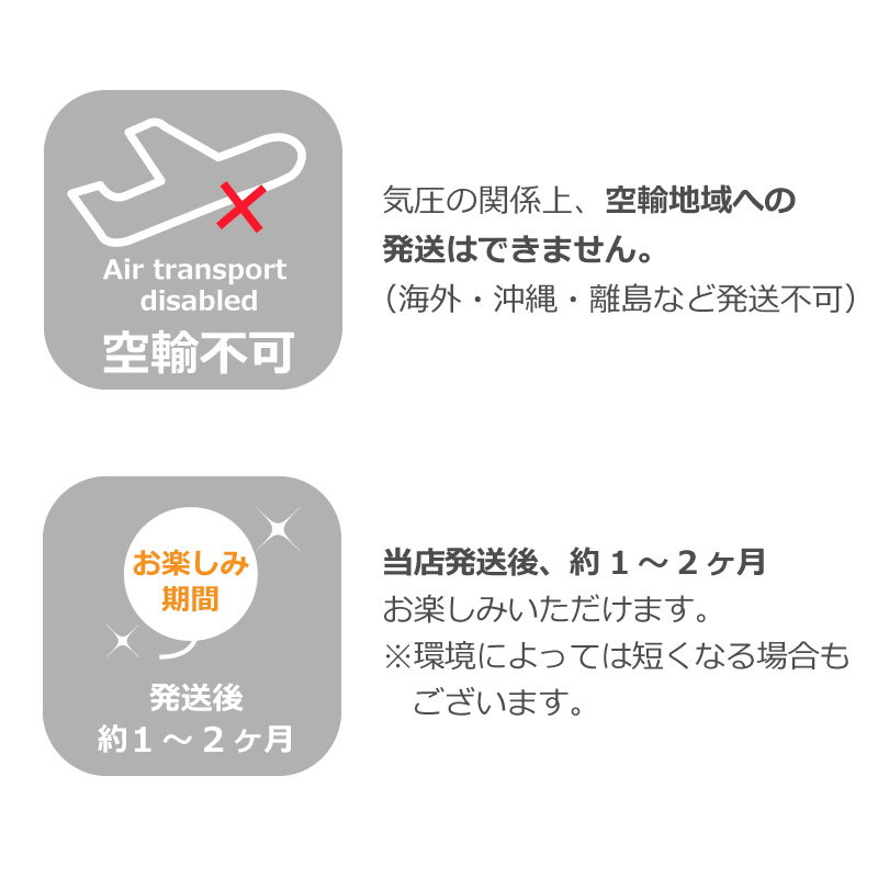 成人式用 花束バルーン 和風 男性