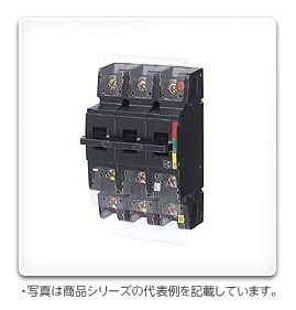 切替開閉器 DS322P30A 日東工業|ブレーカ|住宅用分電盤・ボックス