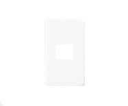 東芝ライテック プレート1個用(WW) WDG5411(WW) (WDG5411WW)