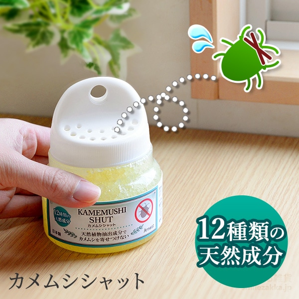カメムシシャット