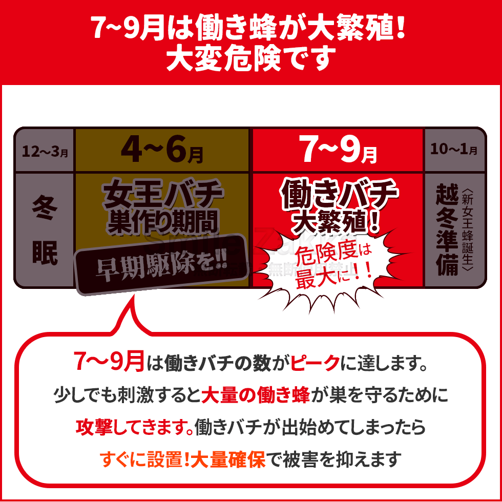 【ネコポス対応】 業務用ハチバスターPRO 詰め替え用【スズメバチ・アシナガバチ系殺虫剤】