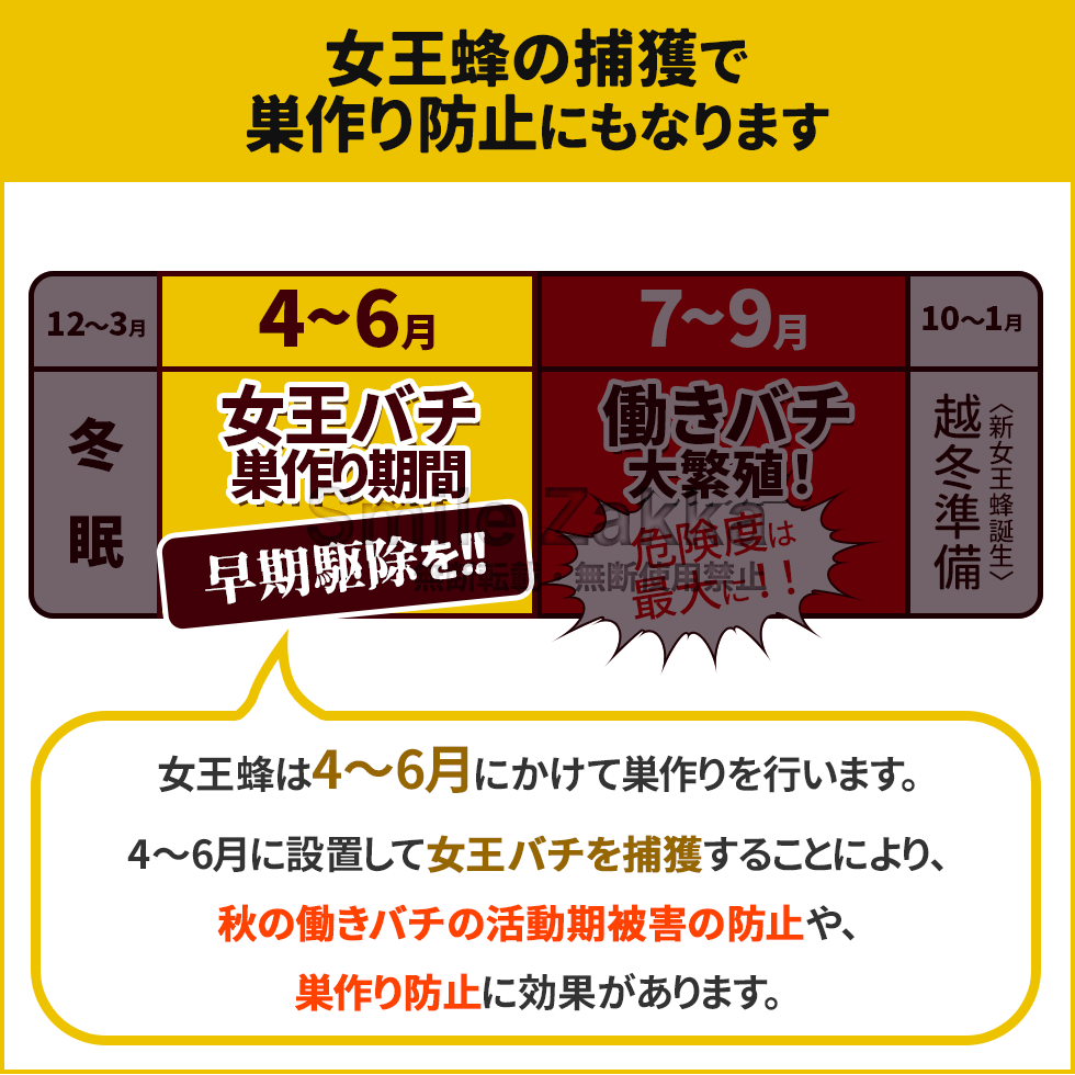 【ネコポス対応】 業務用ハチバスターPRO 詰め替え用【スズメバチ・アシナガバチ系殺虫剤】