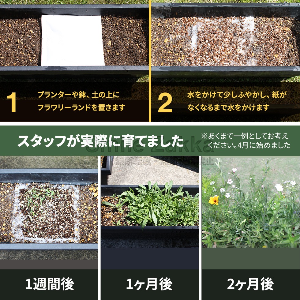 フラワリーランド2P