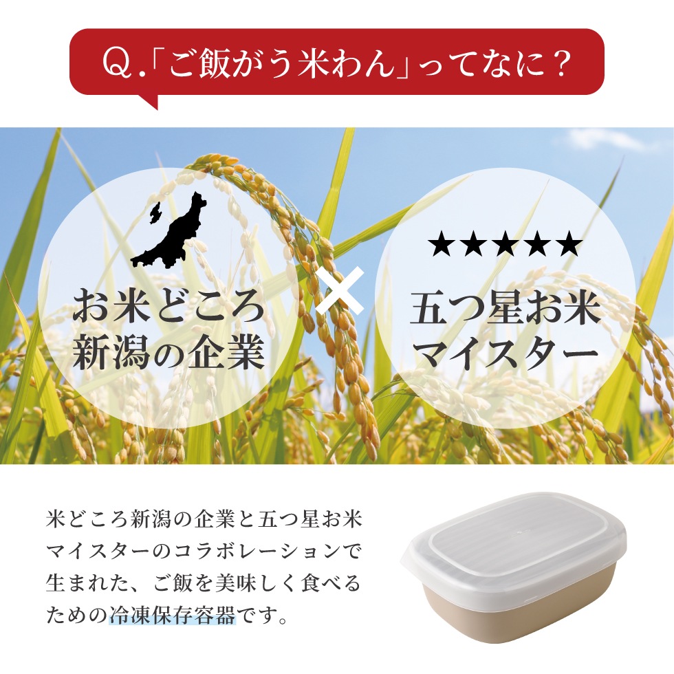 【10/1発売新商品】ご飯がう米わん 1合用  ベージュ
