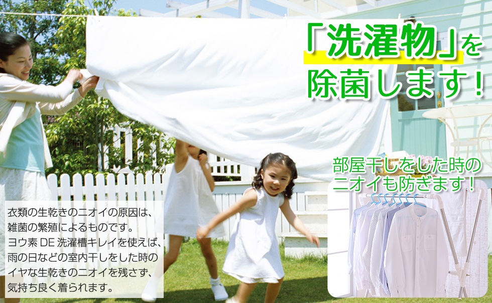 ヨウ素DE洗濯槽キレイ 2個組