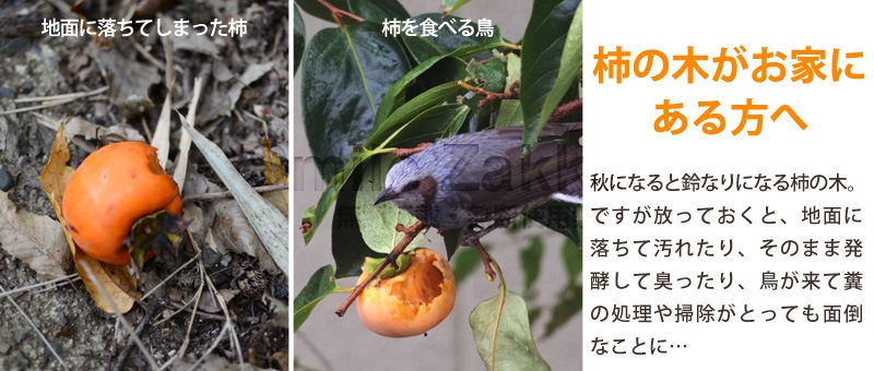 お庭の柿採りバスケット