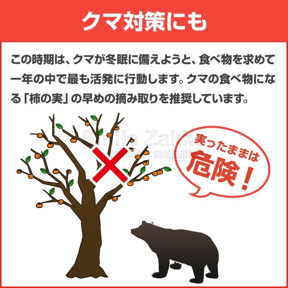 お庭の柿採りバスケット