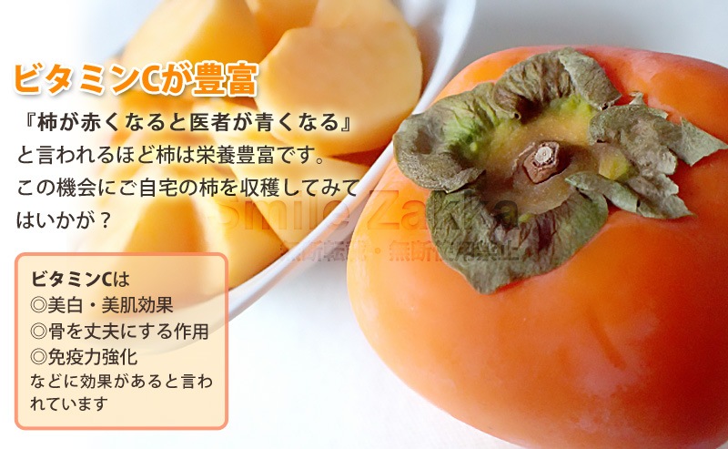 お庭の柿採りバスケット