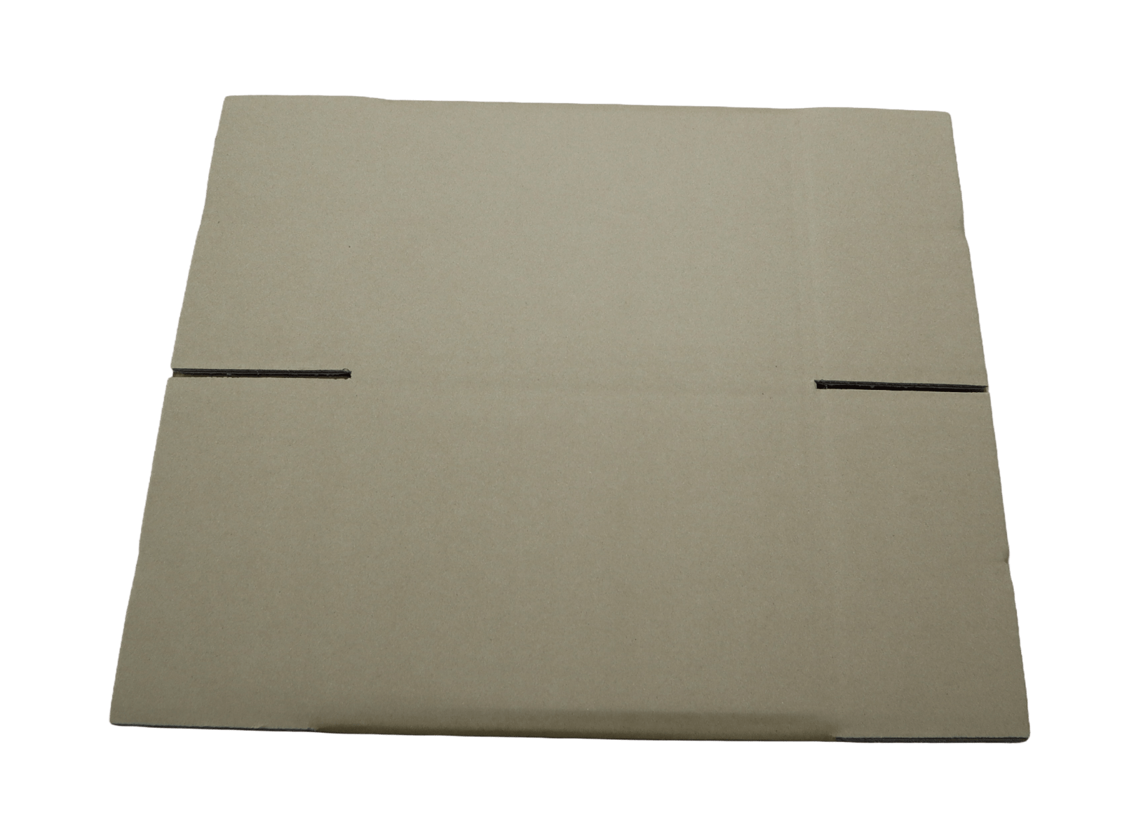 【マスターカートン】MCP31CI/MCP31CBI TSP143IV用　1台入れ