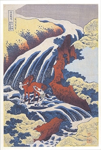 ڱĥ쥯ۥݥȥɡԽ ½