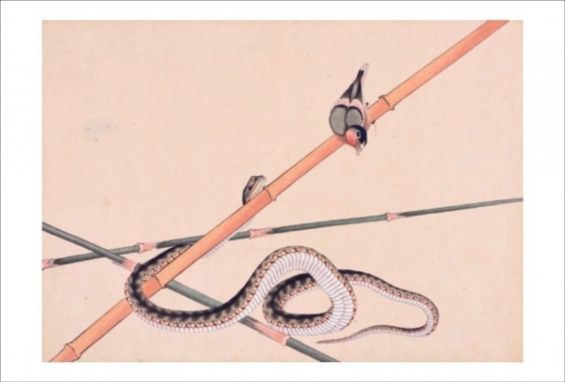 ̺إ쥯󡡥ݥȥ50ֱĥ쥯