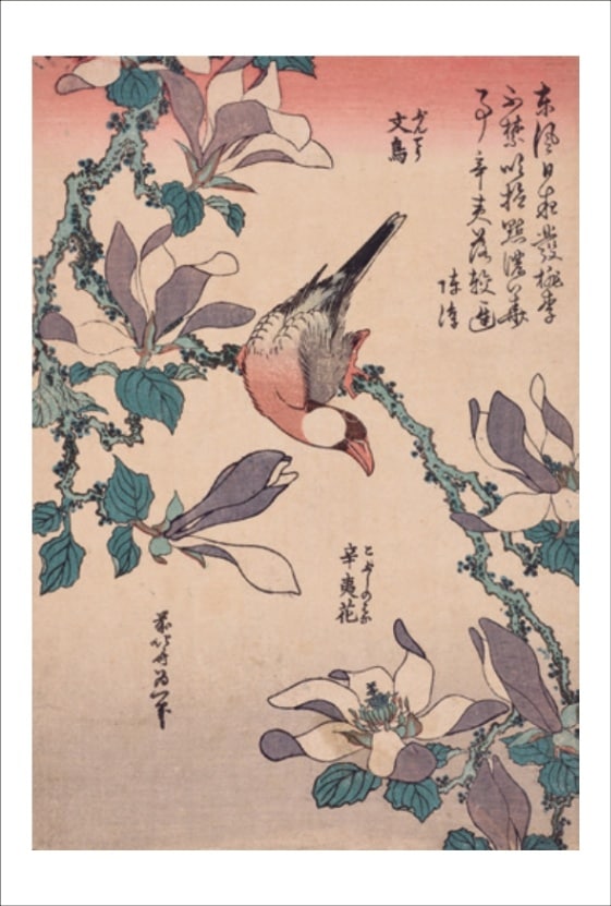 【真作】掛軸　永田春水　葡萄に栗鼠図　花鳥画　淡彩　逸品　合箱入　R149 北斎コレクション ポストカード50種「永田コレクション」 | すべての