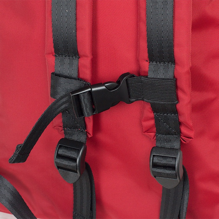 KIDS PACKERS DAY PACK