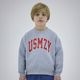SMOOTHY USMZY�ȥ졼�ʡ� 36cs-07