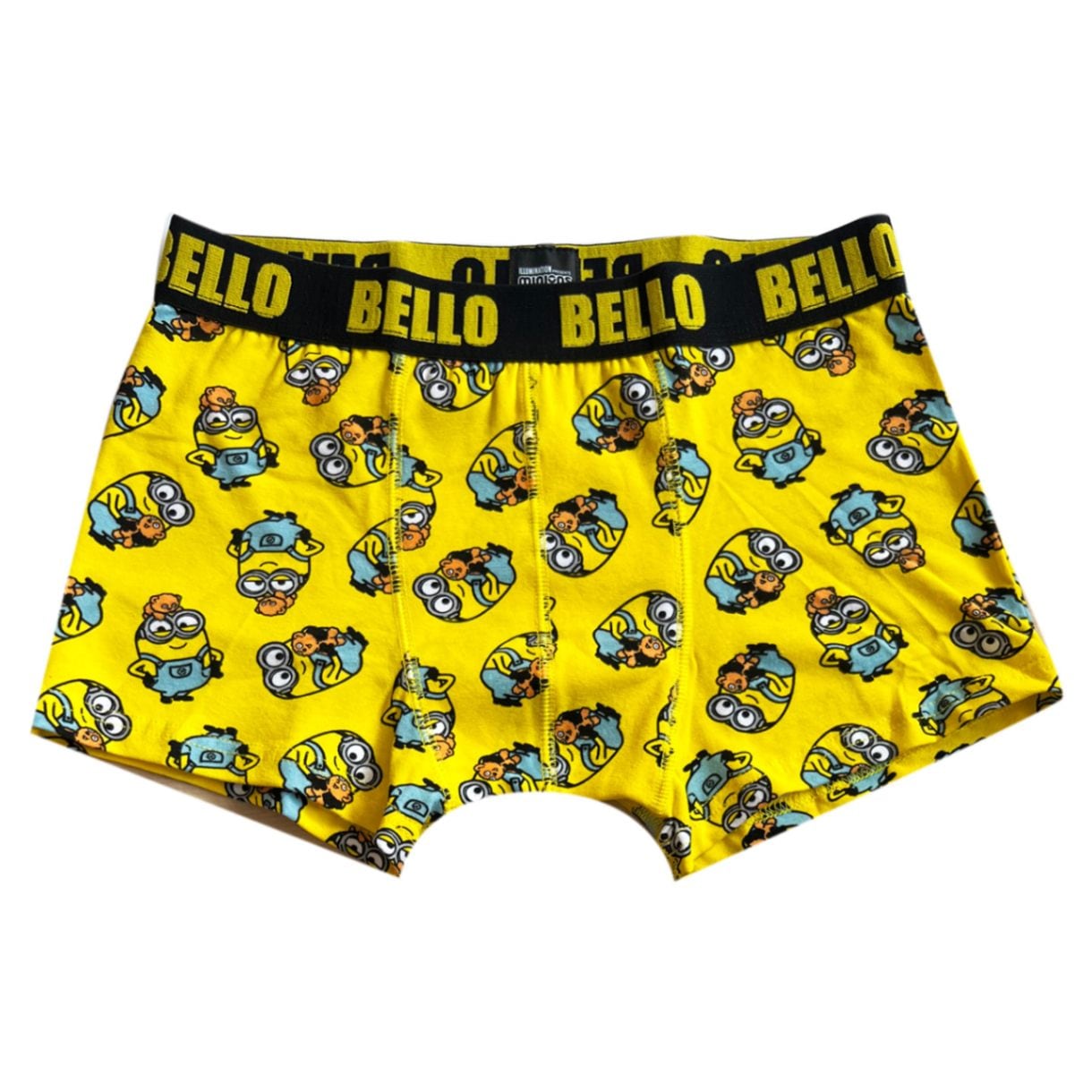 ミニオンズ ボクサーパンツ ボブ＆ティム