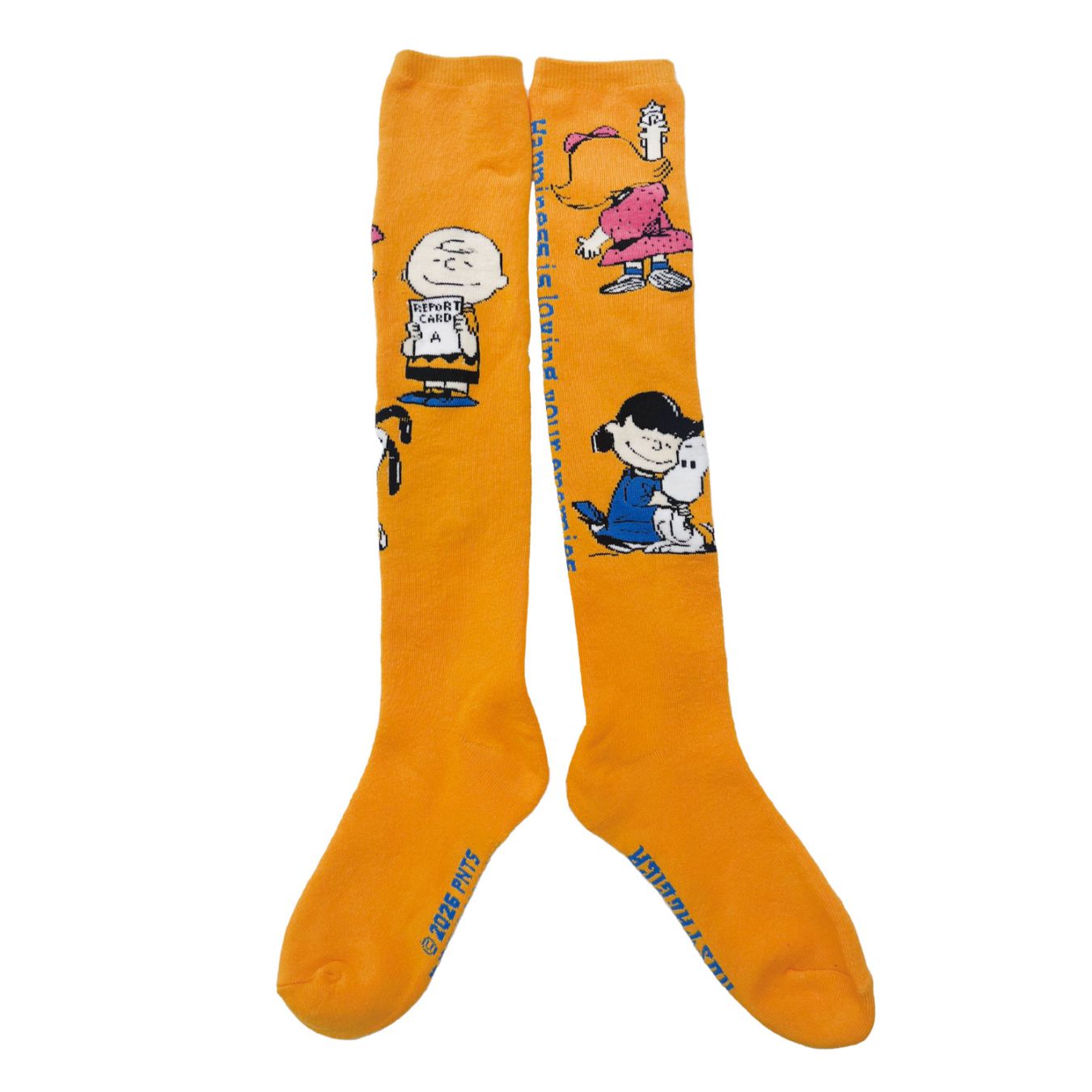 [公式] 【 PEANUTS NOSTALGICA 】 ノスタルジカ ヴィンテージ ピーナッツ クルーレングス パイル刺繍ソックス イエロー
