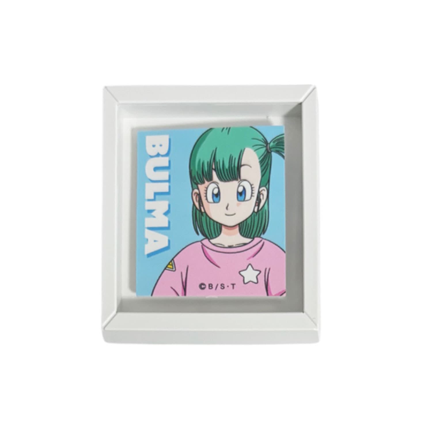 公式]メーカー直営 ドラゴンボール フレームマグネット ブルマ