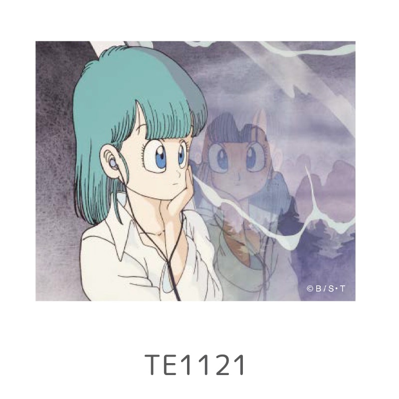 公式]メーカー直営 ドラゴンボール キャラクターステッカー アニメ名