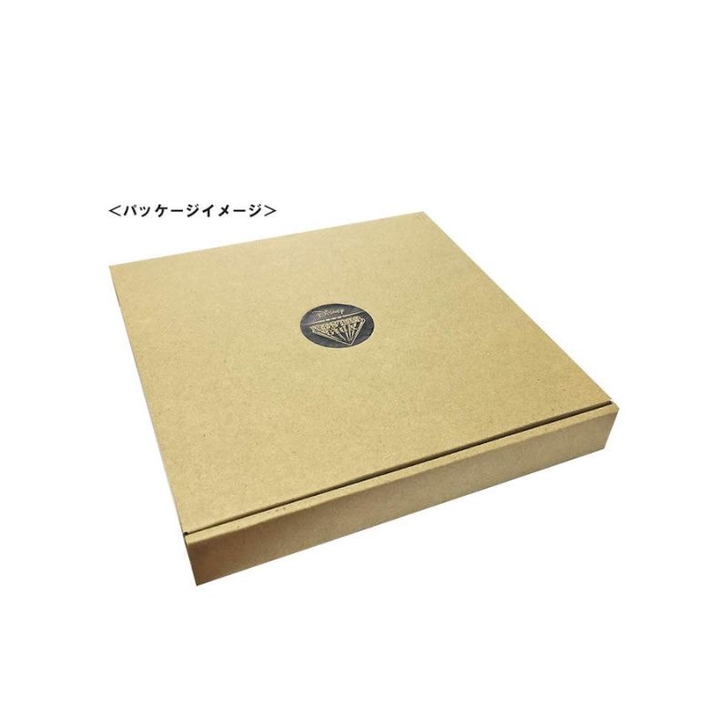 [公式] メーカー直営 ディズニー ノスタルジカ 直径19cmプレート チップ＆デール
