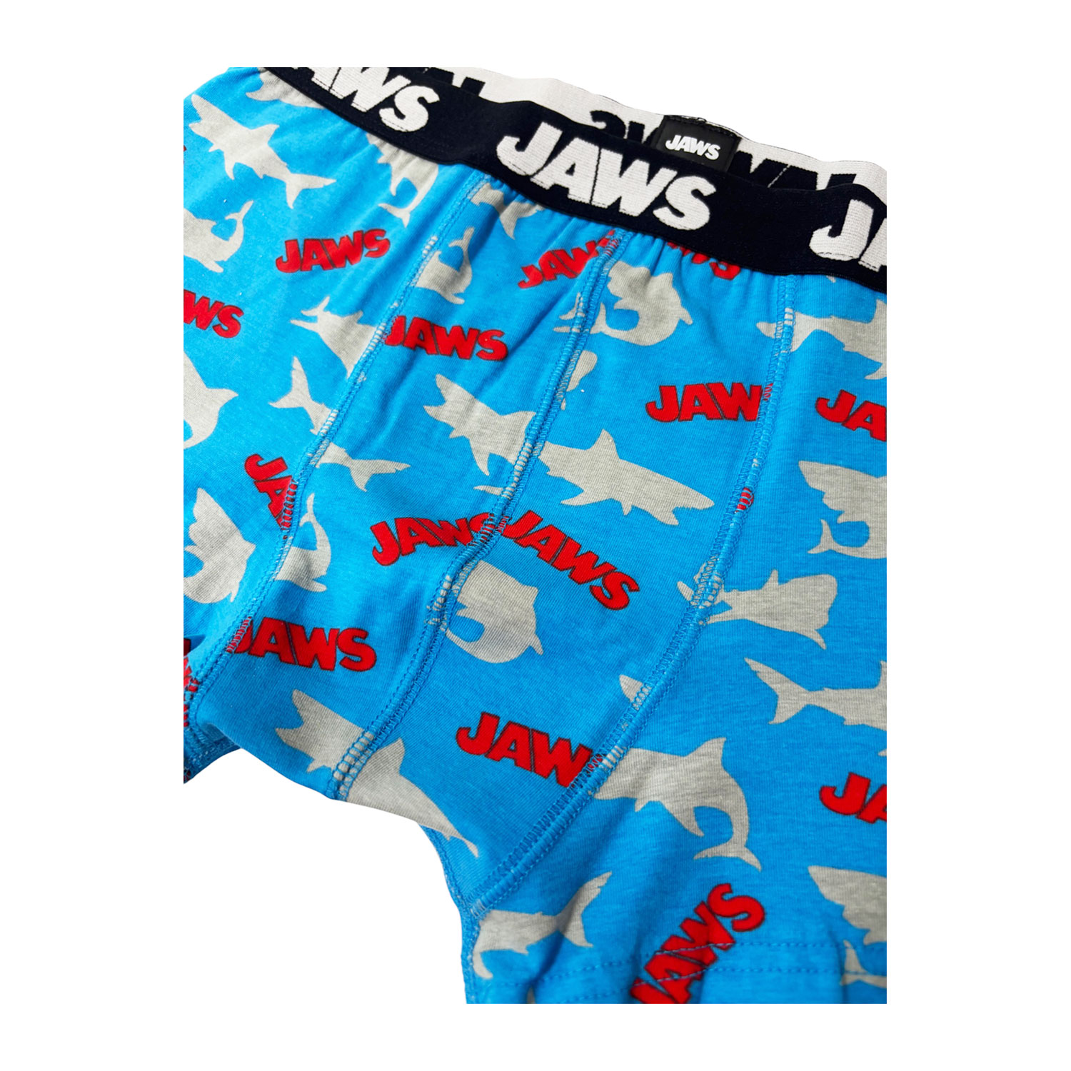 ボクサー　ＪＡＷＳ　ジョーズ
