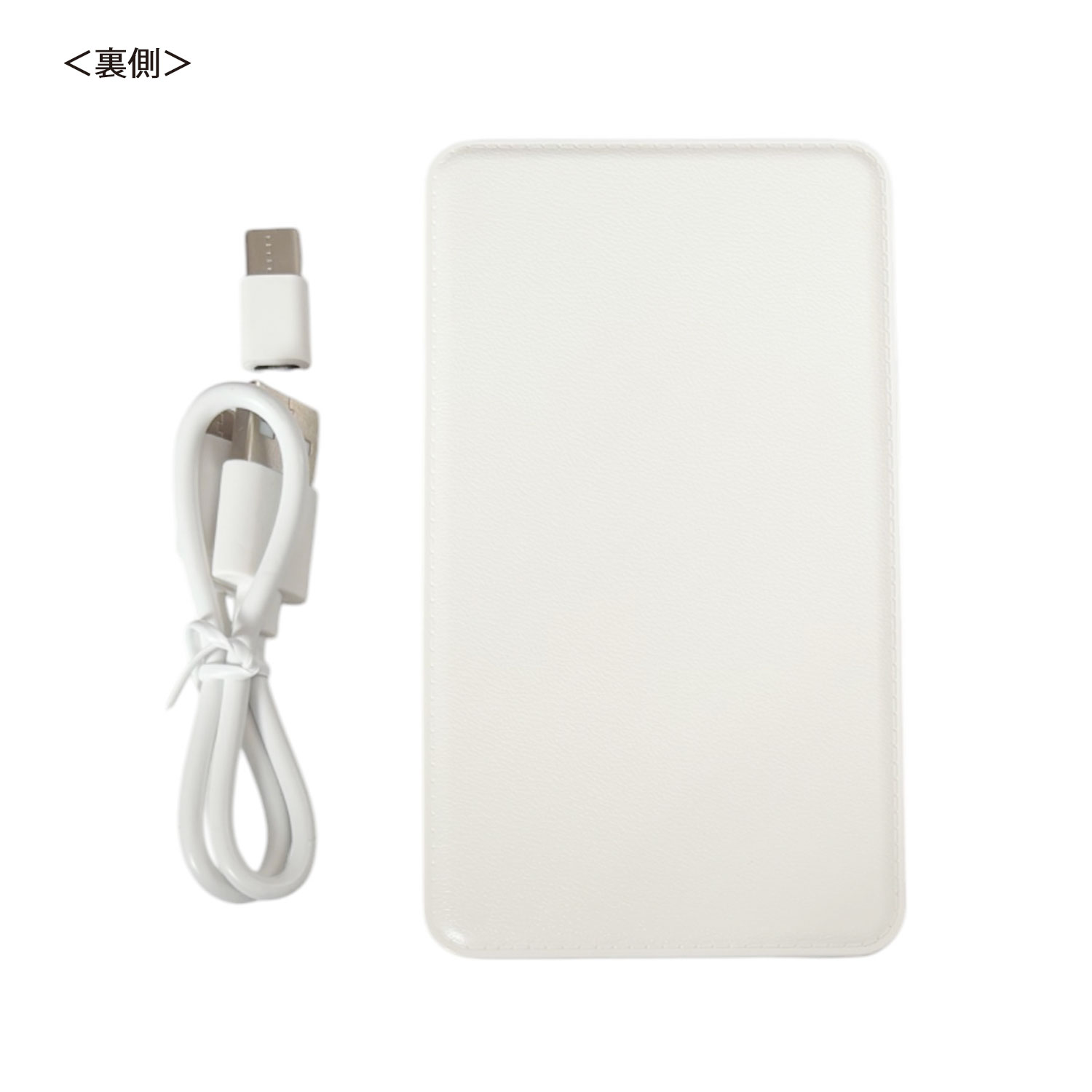 [公式]ディズニー フローズン アート コレクション BY 中川翔子／モバイルバッテリー  戴冠式