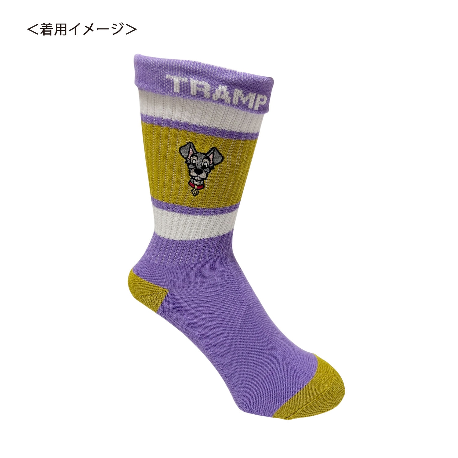 [公式] メーカー直営 Disney ディズニー カラフルラインソックス トランプ 顔