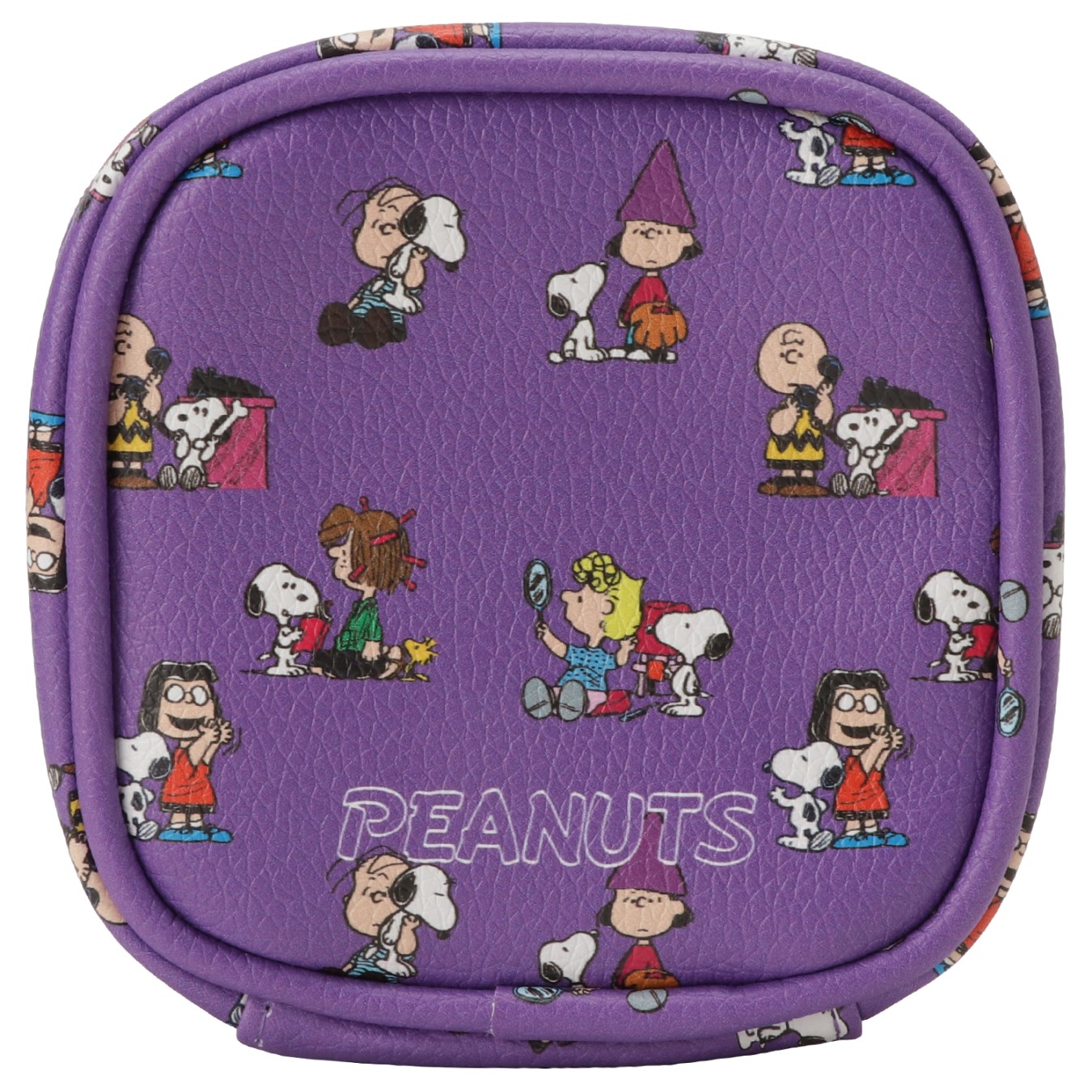 コーチスヌーピー刺繍ポーチ COACH コーチCOACH ポーチ スヌーピー PEANUTS 2025 新作 新品