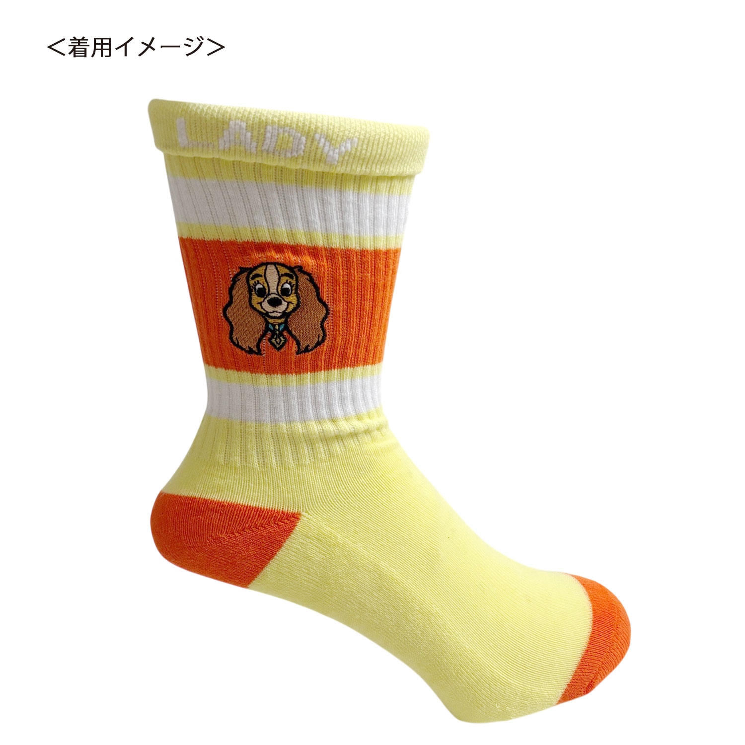 [公式] メーカー直営 Disney ディズニー カラフルラインソックス レディ 顔