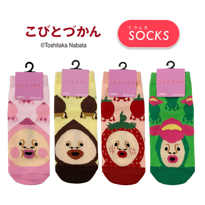 [公式] メーカー直営 こびとづかん キャラックス（靴下）23~25cm